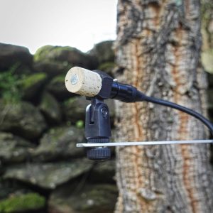 Cortiça microphone with mount