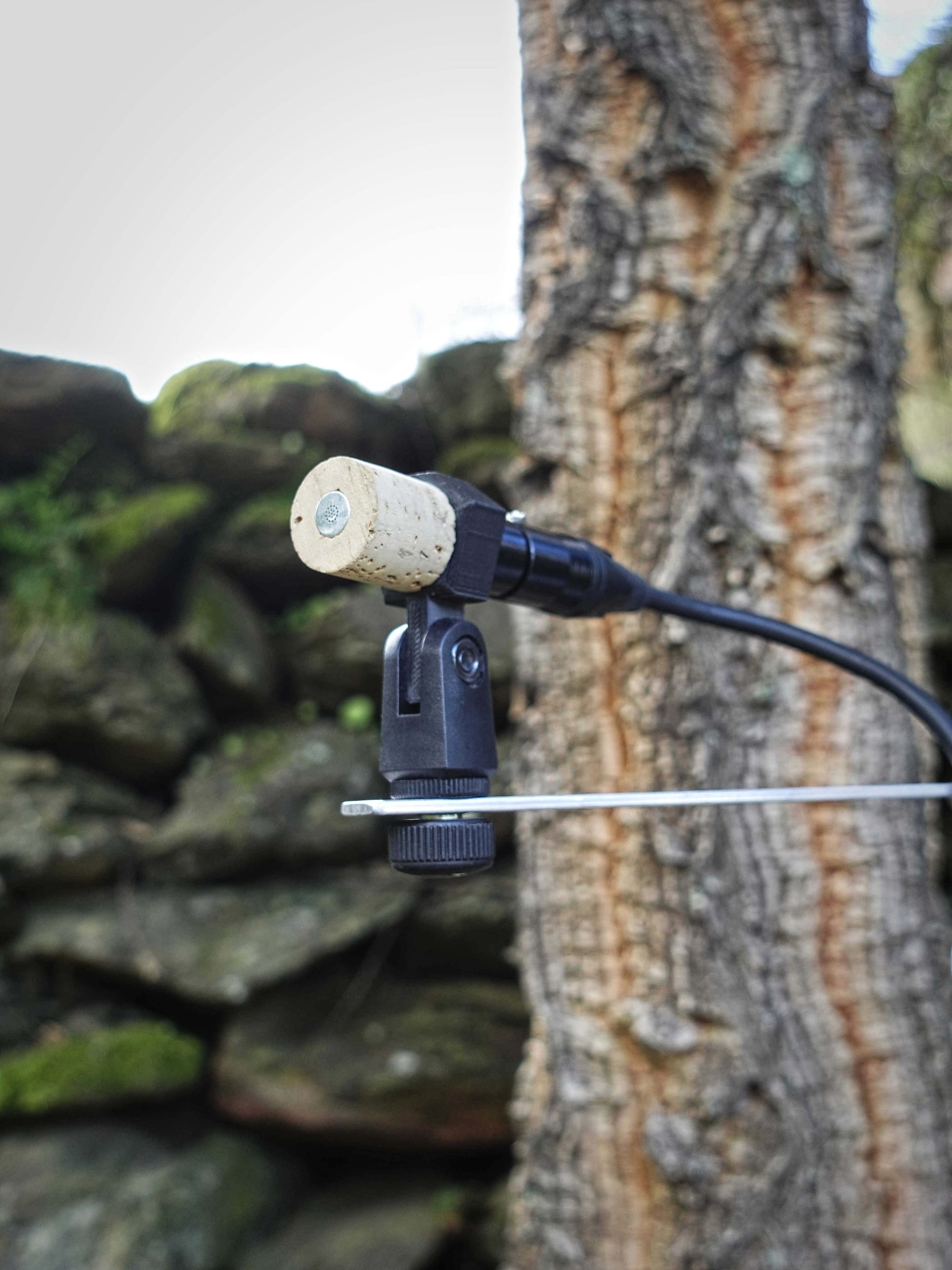 Cortiça Microphone - Omni P48 with Mount